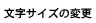 文字サイズの変更